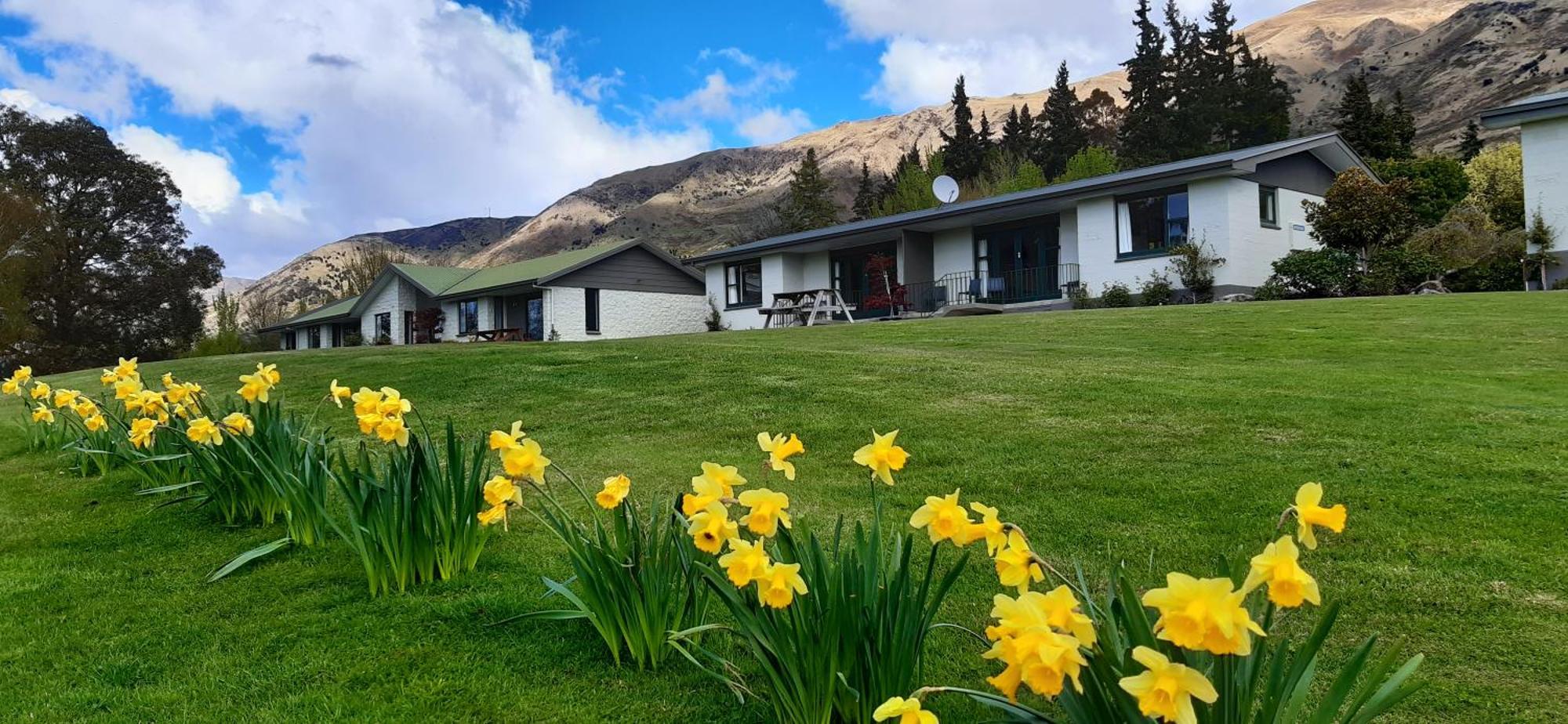 Wanaka Top 10 Holiday Park Εξωτερικό φωτογραφία